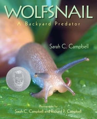 Wolfsnail : A Backyard Predator - Sarah C. Campbell