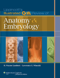 Lippincott's Illustrated Q &A Review of Anatomy and Embryology : Illustrated Q &A Review - Lambert Wineski