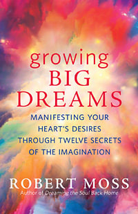 Growing Big Dreams : Manifesting Your Heart's Desires Through Twelve Secrets of the Imagination - Robert Moss