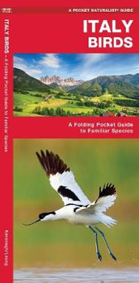 Italy Birds : A Folding Pocket Guide to Familiar Species - James Kavanagh