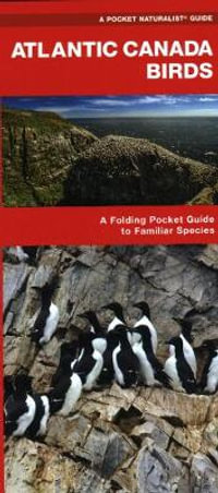 Atlantic Canada Birds : A Folding Pocket Guide to Familiar Species - James Kavanagh