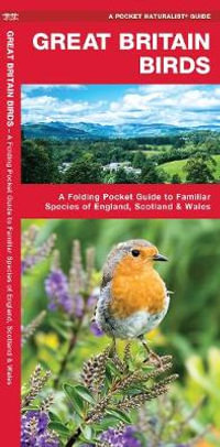 Great Britain Birds : A Folding Pocket Guide to Familiar Species of England, Scotland & Wales - James Kavanagh