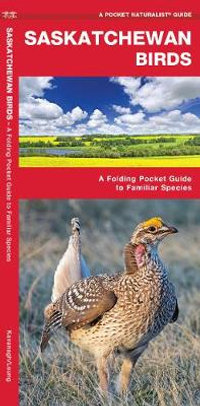 Saskatchewan Birds : A Folding Pocket Guide to Familiar Species - James Kavanagh