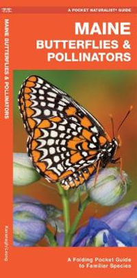 Maine Butterflies & Pollinators : A Folding Pocket Guide to Familiar Species - James Kavanagh