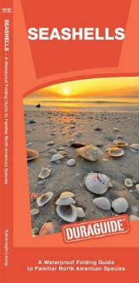 Seashells : A Waterproof Folding Guide to Familiar North American Species - James Kavanagh