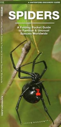 Spiders : A Folding Pocket Guide to Familiar Species Worldwide - James Kavanagh