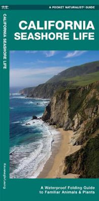 California Seashore Life : A Folding Guide to Familiar Animals & Plants - James Kavanagh