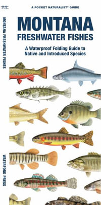 Montana Freshwater Fishes : A Waterproof Folding Guide to Familiar Species - Matthew Morris