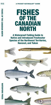 Fishes of the Canadian North : A Folding Guide to Native and Introduced Freshwater Species of the Northwest Territories, Nunavut and Yukon - Matthew Morris