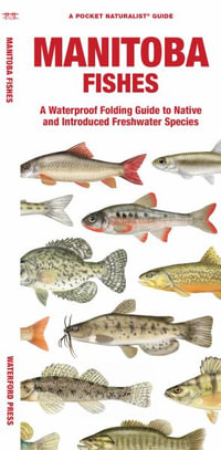 Manitoba Fishes : A Folding Guide to Native and Introduced Freshwater Species - Matthew Morris