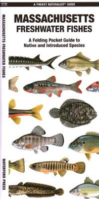 Massachusetts Freshwater Fishes : A Folding Guide to Native and Introduced Species - Waterford Press