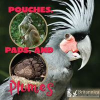 Pouches, Pads, and Plumes : What Animals Wear - Lynn Stone