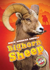 Bighorn Sheep : Blastoff Readers. Level 3 - Megan Borgert-Spaniol