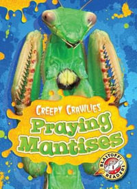 Praying Mantises : Creepy Crawlies - Megan Borgert-Spaniol