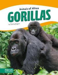 Animals of Africa : Gorillas - TAMMY GAGNE