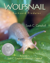 Wolfsnail : A Backyard Predator - Sarah C. Campbell