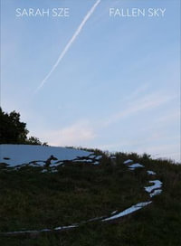 Sarah Sze : Fallen Sky - Sarah Sze