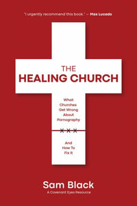 The Healing Church : What Churches Get Wrong about Pornography and How to Fix It - Sam Black