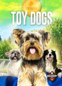 Toy Dogs : Dog Groups - Elizabeth Noll