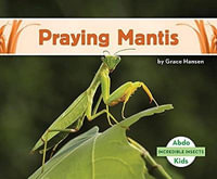 Incredible Insects : Praying Mantis - GRACE HANSEN