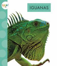 Iguanas : Spot Rainforest Animals - Alissa Thielges