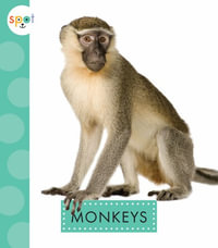 Monkeys : Spot: Rainforest Animals - Alissa Thielges