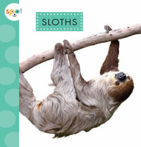 Sloths : Spot Rainforest Animals - Alissa Thielges