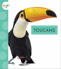 Toucans : Spot Rainforest Animals - Alissa Thielges