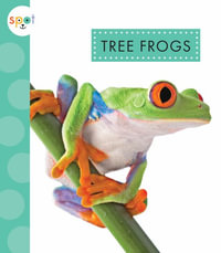 Tree Frogs : Spot Rainforest Animals - Alissa Thielges