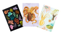 Under the Sea Sewn Notebook Collection : Soft Cover - Insights