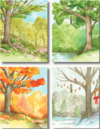 The Seasons Boxed Notecard Assortment : 12 Note Cards (4 Designs, 3 cards of each) & Envelopes - Jenny deFouw Geuder