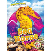 Animal Life Cycles : Sea Horse - Elizabeth Neuenfeldt