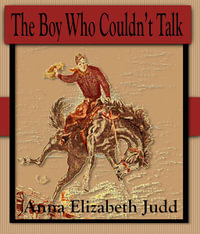 The Boy Who Couldn't Talk : Haystack Chronicles - Anna Elizabeth Judd