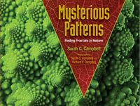 Mysterious Patterns : Finding Fractals in Nature - Sarah C. Campbell