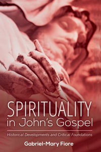 Spirituality in John's Gospel : Historical Developments and Critical Foundations - Gabriel-Mary Csj Fiore