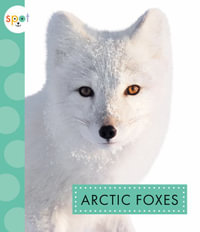 Arctic Foxes : Spot Arctic Animals - Anastasia Suen