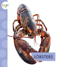 Lobsters : Spot Ocean Animals - Mari C Schuh