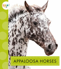 Appaloosa Horses : Spot Horses - Alissa Thielges