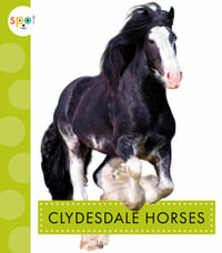 Clydesdale Horses : Spot Horses - Alissa Thielges