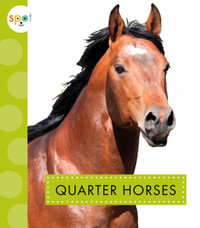 Quarter Horses : Spot Horses - Alissa Thielges