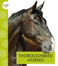 Thoroughbred Horses : Spot Horses - Alissa Thielges