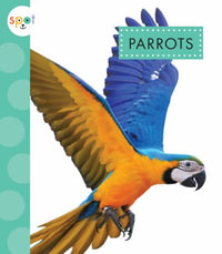 Parrots : Spot: Rainforest Animals - Alissa Thielges