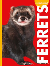 Curious about Ferrets : Curious About Pets - Alissa Thielges