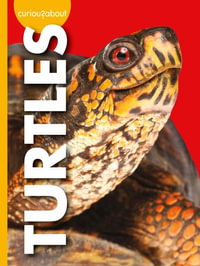 Curious about Turtles : Curious About Pets - Alissa Thielges