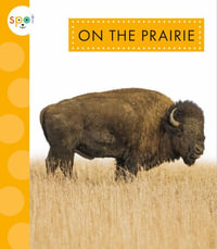 On the Prairie - Alissa Thielges