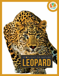 Leopard - Julie And David Lavender