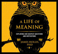 A Life of Meaning : Exploring Our Deepest Questions and Motivations - James Hollis