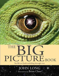 The Big Picture Book - John Long