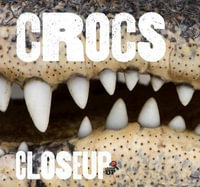 Crocs CloseUp : CloseUps Series - Wild Dogs Books