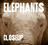 Elephants CloseUp : Close Up Series - Andrew Kelly